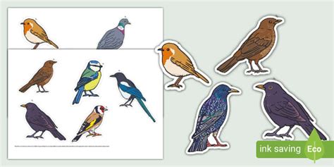 Garden Birds Display Cut-Outs