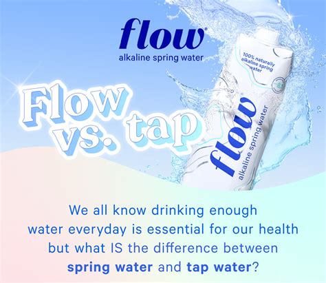 The 5 Main Differences Between Spring Water – DLYG