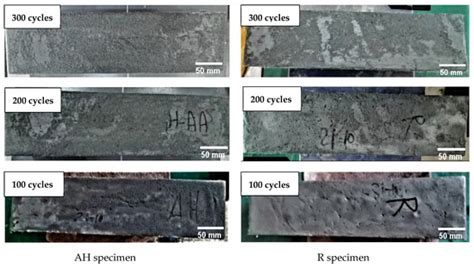 Influence of Fiber Orientation on the Water and Ions Transportation of ...
