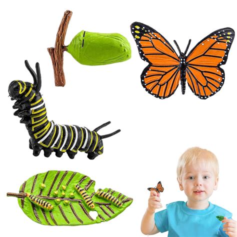 Buy 4-piece Set Caterpillar Toy, Butterfly Kits with Live Caterpillars ...
