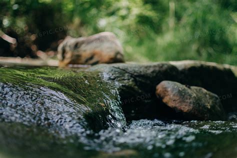 小河流水哗啦啦