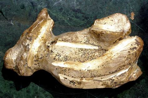 "Bronze": Yellow Sculpture (12x14x10) by GOPAL PRASAD MANDAL | ArtZolo.com