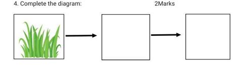 complete the diagram - Brainly.in