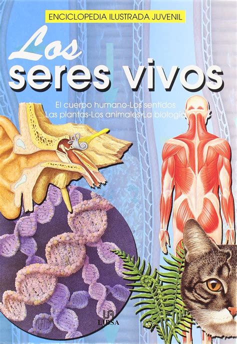 Los seres vivos / Living Things: El cuerpo humano - los sentidos - las ...