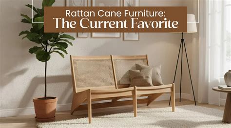 Rattan Cane Furniture – Modern Home Trend – Nismaaya Decor