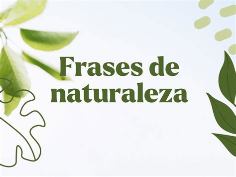 La Nature 的图像结果