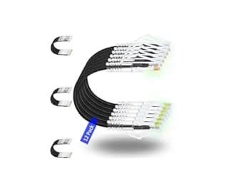 SETH ENTERPRISES ® 0.3 Meter (Pack of 12) CAT6 Patch Cord for Router ...