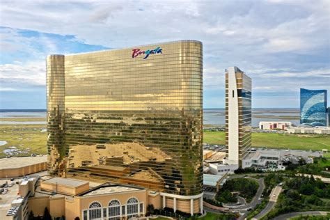 borgata 101z 2020,They serve multiple purposes