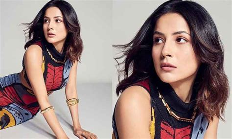 Fashion Spotlight: Shehnaaz Gill mesmerises in multi-coloured side cut ...