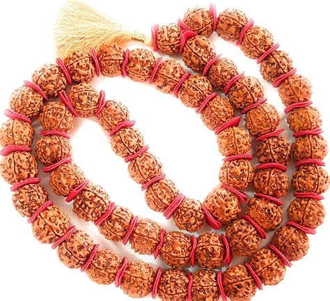 Buy Five Face Rudraksha Kantha Mala in 54 +1 Beads (Brown_0.8 Inch X 20 ...