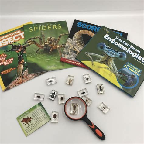 Discovery Kits | City of Orange, CA Library