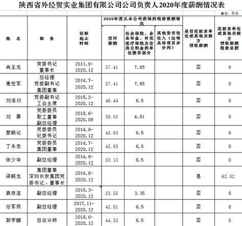 陕西省外经贸实业集团有限公司负责人2020年度薪酬情况表-陕西省外经贸集团有限公司