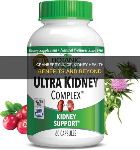 Cranberry Juice: Kidney Health Benefits And Beyond | ShunKeto