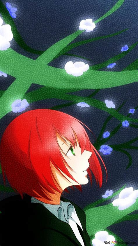 Magus Bride Chise 的图像结果