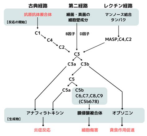 Image result for Intangible Assets Types
