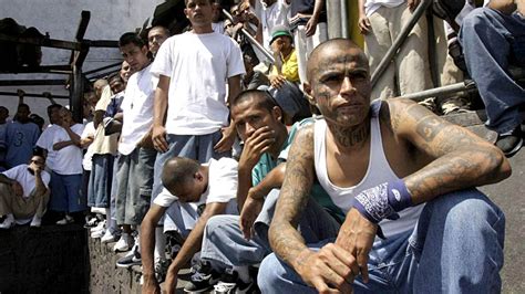 Salvatrucha, la mara centroamericana más peligrosa, no cesa su ...