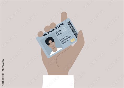 Identification 的图像结果