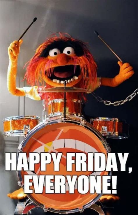 [100+] Friday Funny Pictures | Wallpapers.com