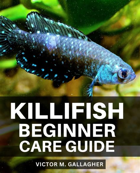 Buy Killifish Beginner Care Guide: A Guide to Keeping and Caring for ...