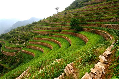 Chinese Terrace Farming