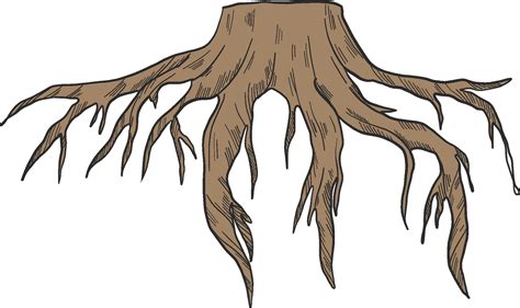 Tree Roots Clipart Vector at Ruby Nielsen blog