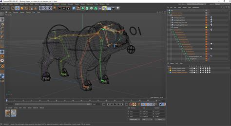 3D Bulldog Rigged for Cinema 4D model | 3D Molier International