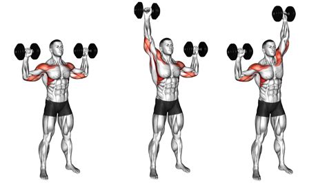 Overhead Dumbbell Press: Muscle Worked, Benefits, Variations | Shoulder ...