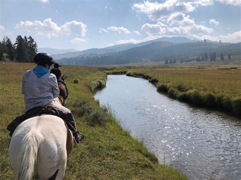 COVERED WAGON RANCH (Gallatin Gateway) - Ranch Reviews & Photos ...