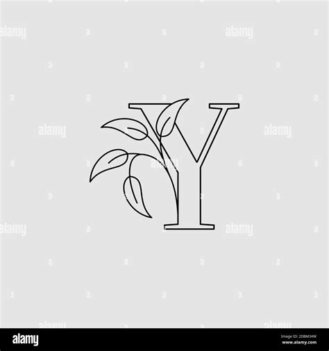 Y Outline
