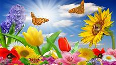 sfondi desktop fiori e farfalle scaricare gli sfondi fiori farfalle cielo sfondi gratis sfondi desktop fiori e farfalle scaricare gli sfondi fiori farfalle cielo sfondi gratis