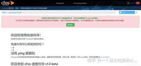 Image result for CFosSpeed Tutorial