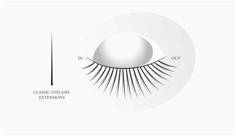 Individual Classic Lashes Tutorial 的图像结果