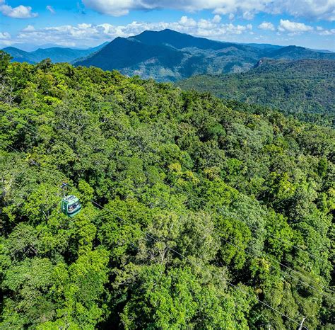 SKYRAIL RAINFOREST CABLEWAY (2025) All You Need to Know BEFORE You Go ...