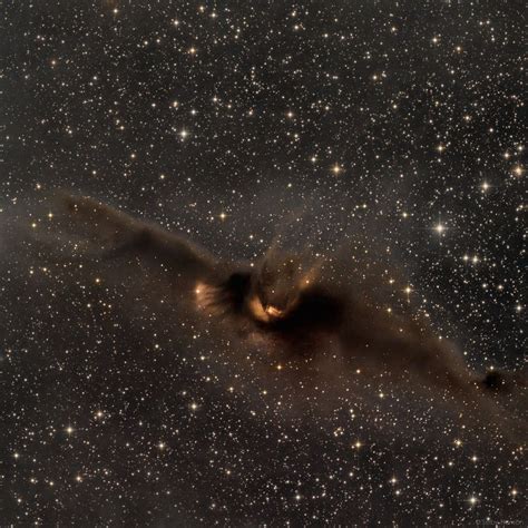 Scary Space 的图像结果