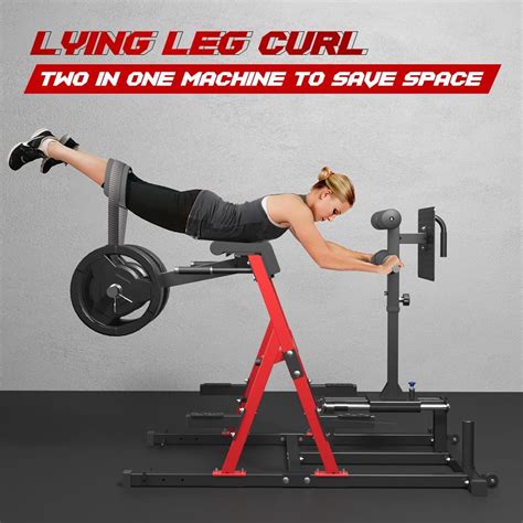 FAGUS H Adjustable Glute Ham Developer India | Ubuy