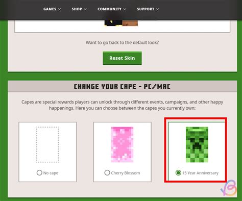 Image result for How to Wear a Custom Cape in Minecraft Java