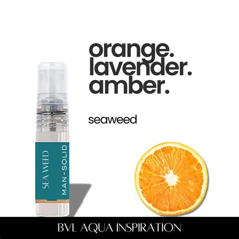 5 Ml Tester 1 (Pack of 6)