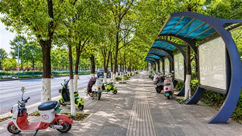 Urban streets in China often include shaded paths like this