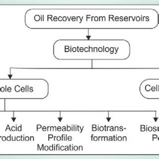 Biotechnology Flowchart 的图像结果