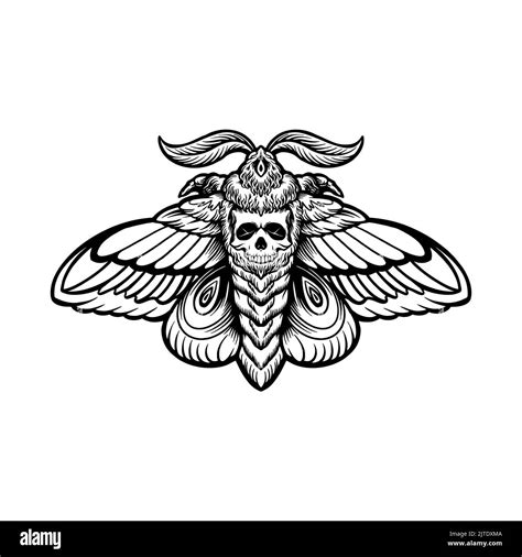 Moth Skull Tattoo