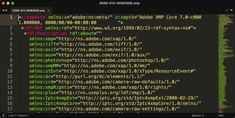 Image result for How to Open XMP Files