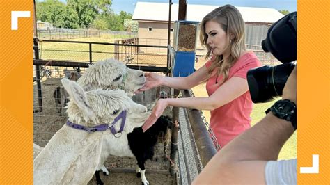 Amadio Ranch in Laveen | Rediscover Arizona | 12news.com