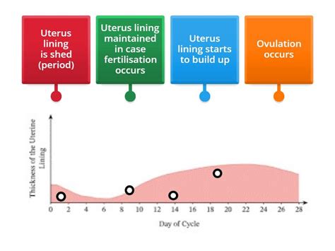 Period Cycle Graph 的图像结果
