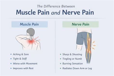 How To Distinguish Nerve Pain From Common Muscle Aches
