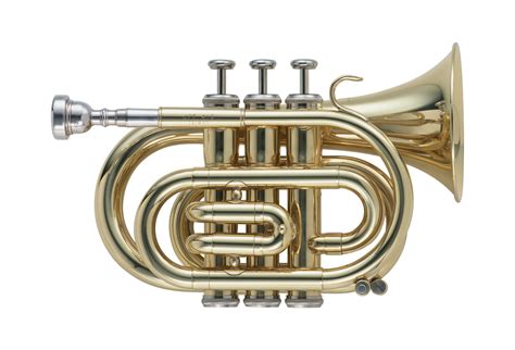 Which Instruments Are Played By Blowing Air From The Mouth at George ...