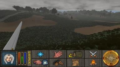 Image result for Daggerfall Unity Mod Presets
