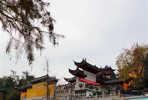 美丽南京，千年古刹鸡鸣寺---鸡鸣寺位于鸡笼山东麓，又称古鸡鸣寺|鸡鸣寺|南朝|古鸡鸣寺_新浪新闻