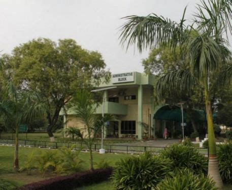 Central University of Punjab Contact Number, Address & Map, Bathinda ...
