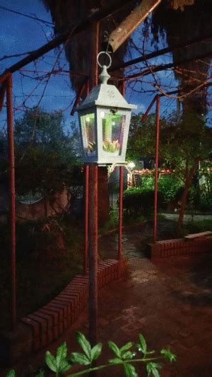 Image result for PO Code 1132