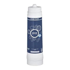 Grohe 40430001 BWT Filter, 396.25 gallon, Blue : Amazon.in: Home & Kitchen
